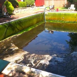 Pool closed for 5 years